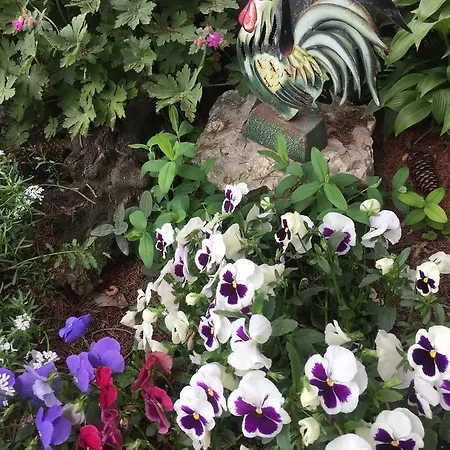 Cascina Patrizia B&B