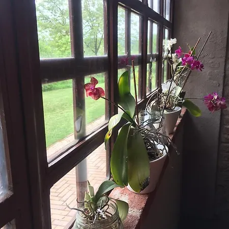 B&B Cascina Patrizia 아스티