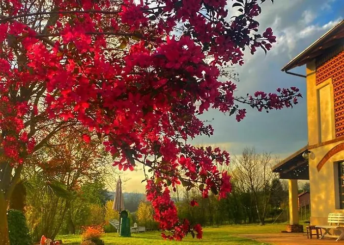 Bed & Breakfast Cascina Patrizia 3*